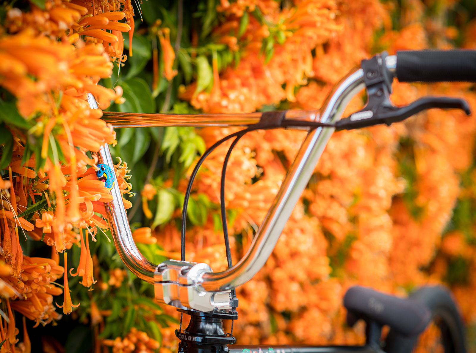 colony sweet tooth bars chrome